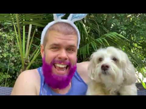 Britney Escapes! Adele's Shocking Divorce! Ariana's Unwell! Justin Bieber's Comeback! AND... | Perez Hilton