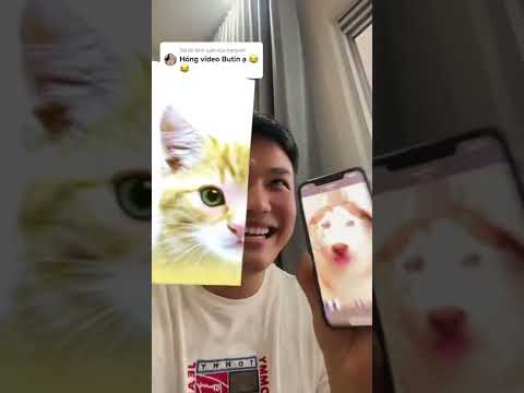 Butin và ông hoàng filter