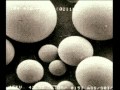 Nuclear Physics Concepts and Discoveries