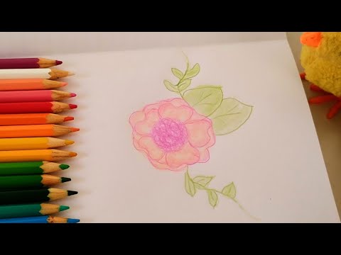 DESENHANDO uma flor | com SOM RELAXANTE