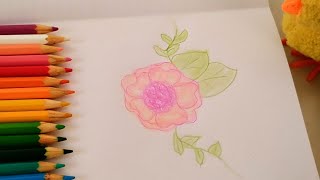 DESENHANDO uma flor | com SOM RELAXANTE