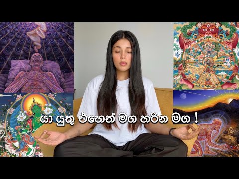 සසර තරම් බියකරු කිසිවක් නොමැත ! #buddhism #spirituality #mindfulness #meditation #life #truth