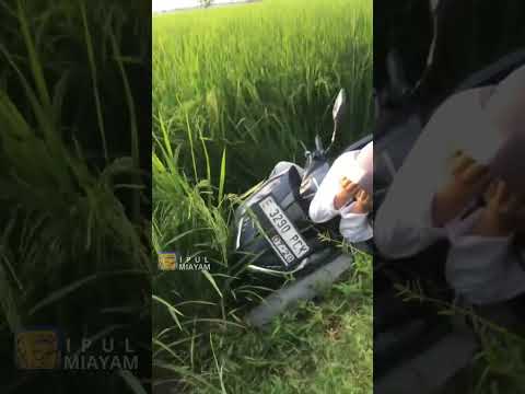 top singko #funny #funnyvideo #clips