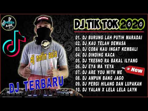 Dj Tik Tok Terbaru 2020 | Dj Burung Lah Putih Maradai Full Album Remix 2020 Full Bass Viral Enak