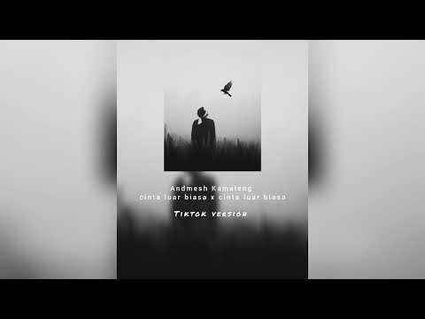 Andmesh Kamaleng - cinta luar biasa x cinta luar biasa (Tiktok version)