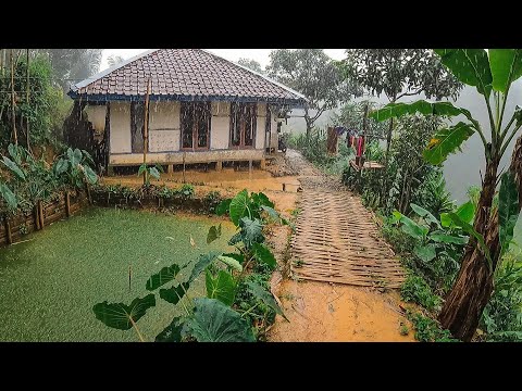 Ko Bisa Bikin Betah? Hujannya Deras Banget Jalannya Becek, Rumah Di Sawah. Pedesaan Jawa Barat Garut