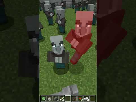 When your dog loves to fight