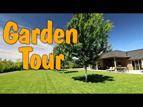 My Yard & Garden Are Looking Fantastic This Year!