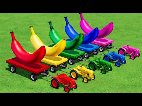 TRANSPORTING Mini PORSCHE TRACTORS & BIG BANANA with FLATBED TRAILER & CRAZY CAT LOADERS!! FS22