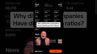 Why are P/E ratios different