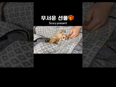 거절은 거절한다