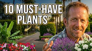 10 Plants That Define The Beverly Hills Look