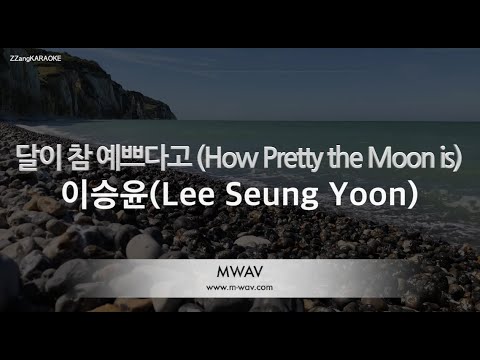 [짱가라오케/노래방] 이승윤(Lee Seung Yoon)-달이 참 예쁘다고 (How Pretty the Moon is) [ZZang KARAOKE]