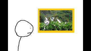 Campos do Jordão