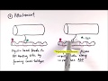 Understanding the Sliding Filament Model