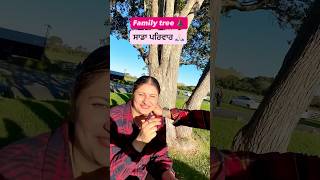 Our family tree🌳 ਸਾਡਾ ਪਰਿਵਾਰ 🙏🏻 #family #pariwar #punjabi #pindawale #nz #singhlifestylenz #reel