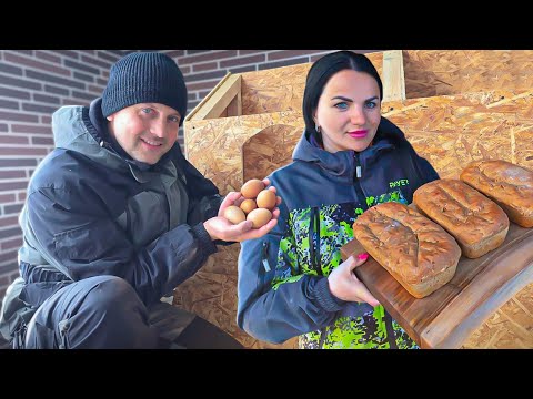 Семья живёт в лесном доме. Только у плохих хозяев куры несутся в лесу и цыплята вылупляются зимой