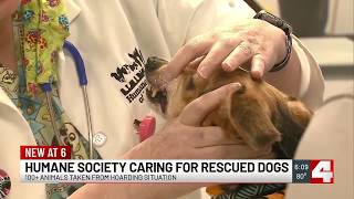 YouTube video thumbnail: Humane Society, law Enforcement Rescuing Over 100 Animals From Southwest, Mo. Property