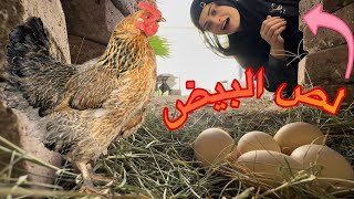 تم القبض على ام سيف 😁😁