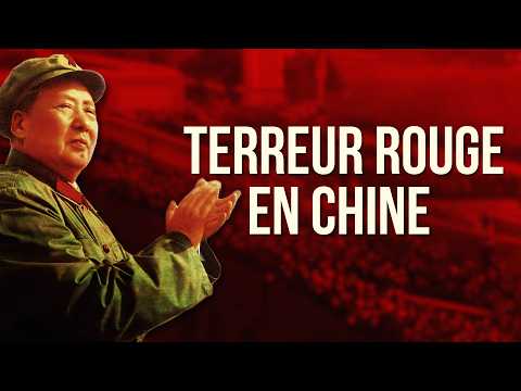 Pourquoi Mao Zedong a-t-il semé le chaos lors de la Révolution culturelle ?  [QdH#65]