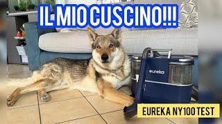 Lavo il cuscino del mio cane con Eureka NY100, come va?