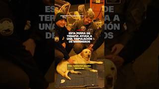 Esta perra de terapia ayuda a una tripulación de marineros