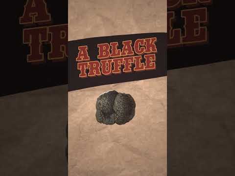 Why Real Truffles Are So Expensive