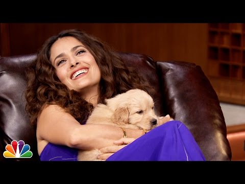 Salma Hayek & Jimmy Fallon Get Covered In Puppies In The Most ADORABLE Trivia Game Of All Time!!