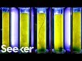 Biofuel Production Challenges and Benefits