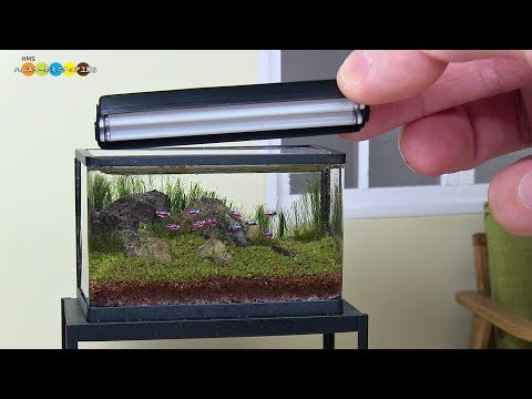 DIY Miniature Aquarium Fish Tank　ミニチュアアクアリウム水槽作り