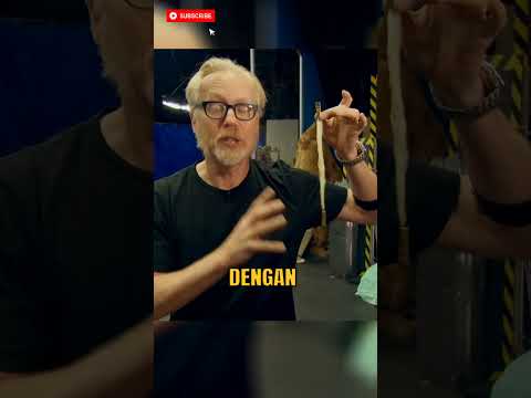 Apakah Serat Laba-Laba Lebih Kuat dari Baja?