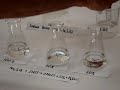 Reaction Rates and Concentration Effects