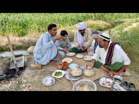 Village life desi mahol enjoy lunch with Darwish khan