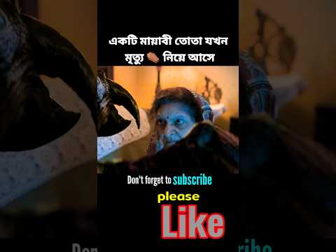 একটি মায়াবী তোতা 🦜 যখন মৃত্যু ⚰️ নিয়ে আসে | movie explained in Bangla | #shorts #short