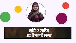 হানি ও নাটস – যৌন স্বাস্থ্য ও শক্তি বৃদ্ধির প্রাকৃতিক উপায় 🍯🥜