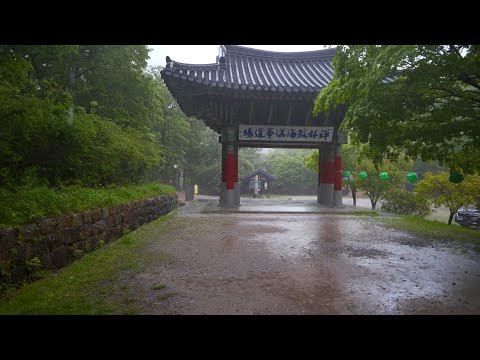 [4K] 비바람이 몰아치는 숲속의 사찰. 빗소리는 거세지만, 마음이 조용해지는 시간. ASMR for Deep Relaxation and Sleeping.