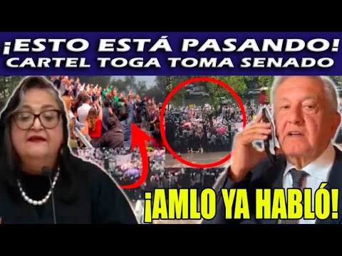 FILTRARON TODO‼️NORMA PIÑA DETRÁS DE MEGA FRAUDE; FILTRAN CONVERSACIONES ¡AMLO NO PERDONARÁ!