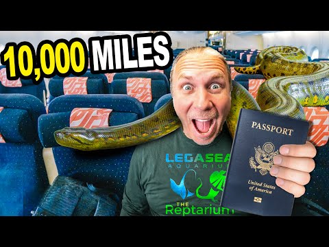 Brian Traveled 10,000 Miles To Meet This Animal!