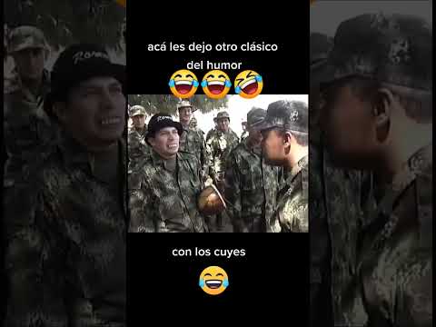 Jajaja uy quΓ© dolor π
