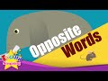 Opposites and Examples of Adjectives