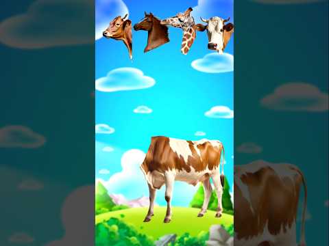 Qurbani Mubarak #shorts #shortvideo #islamicshorts