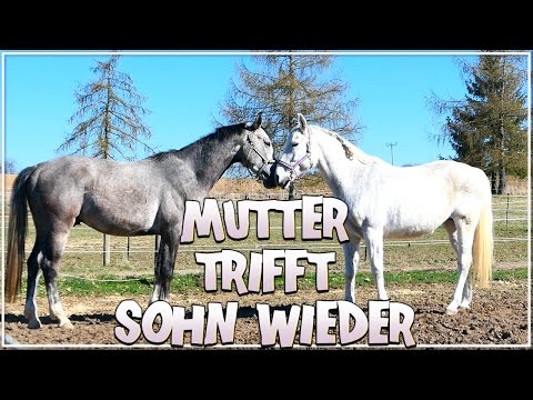 Mutter trifft Sohn wieder ♥ Erkennen sie sich?