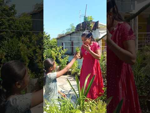 বোন দিল surprise😱কি ফুল এটা? #banglaminivlog #minivlog #gardening #gardeningtips #plantslove #plants