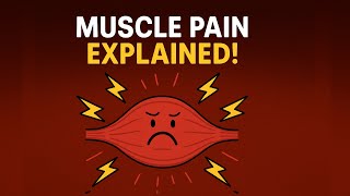 Decoding Muscle Pain | Pathophysiology