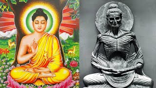 The Benefits of a 40-Day Fast - Spirit Science