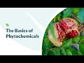 Curcumin and Phytochemicals in Foods