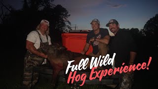 Full Wild Hog Experience!