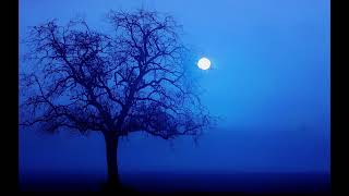 Heartbeat - (prod. Medusa KB)