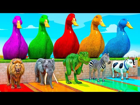 5 Giant Duck Cartoon,T-Rex,Cow,Mammoth,Dog,Lion,Tiger Paint Wild Animals Crossing Fountain Animation