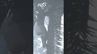 26 শে ডিসেম্বর ধেয়ে আসছে শক্তিশালী শৈত্যপ্রবাহ #shorts #fyp #cyclonealert